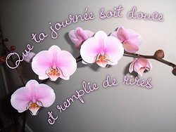 Mille bisous !